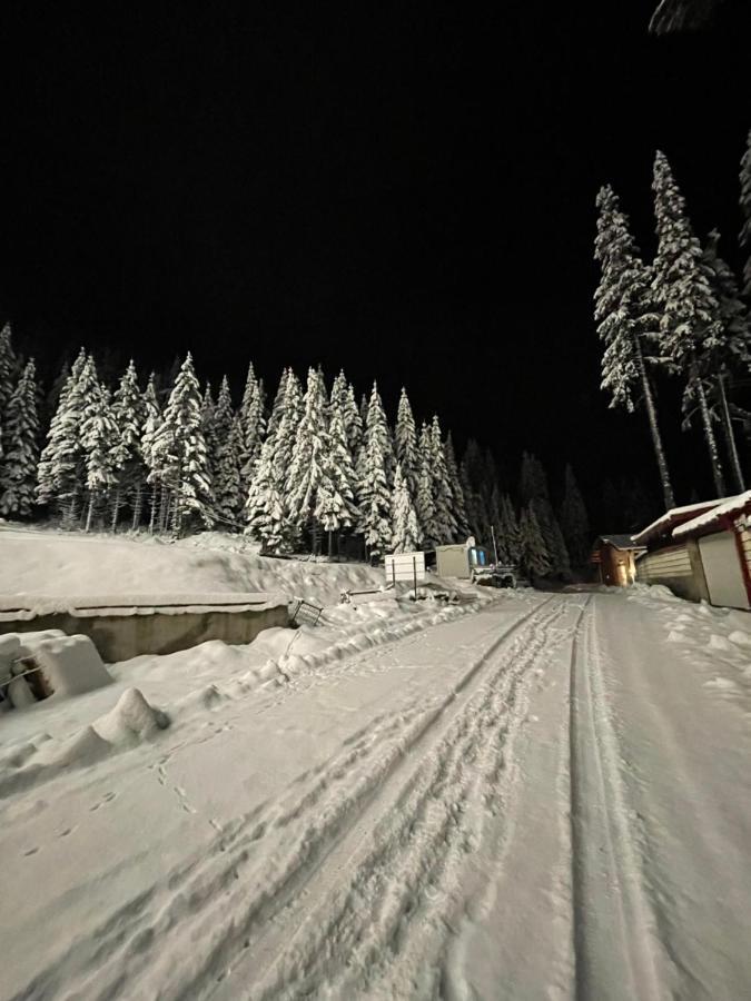 Cozy Apartment B35 In Grand Resort Pamporovo Eksteriør billede