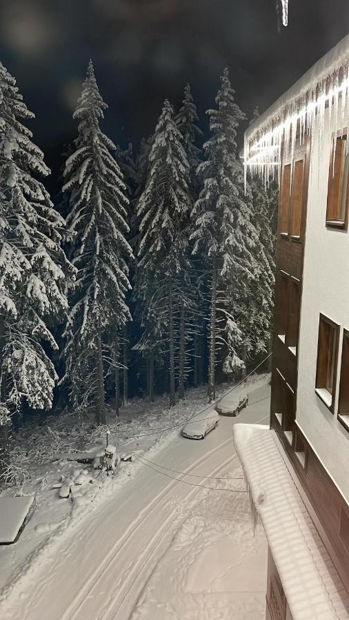 Cozy Apartment B35 In Grand Resort Pamporovo Eksteriør billede