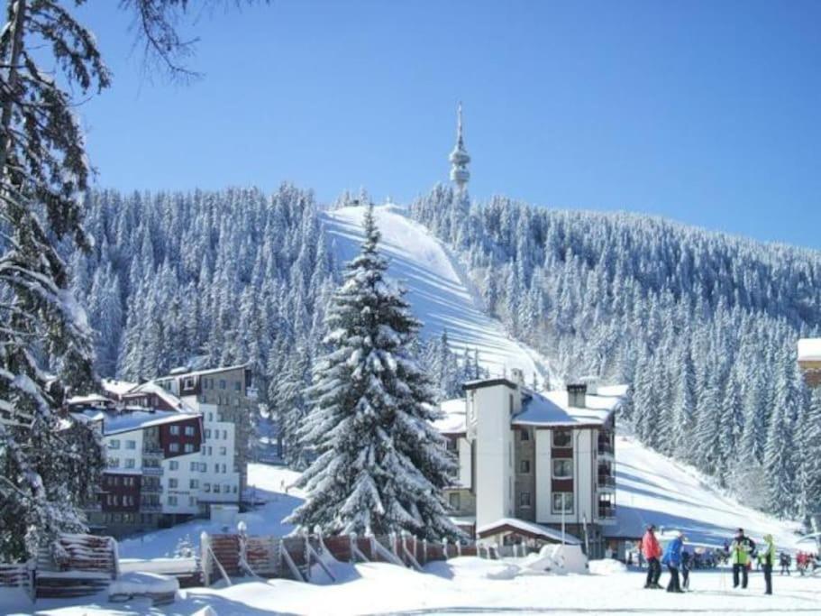 Cozy Apartment B35 In Grand Resort Pamporovo Eksteriør billede