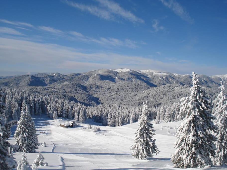 Cozy Apartment B35 In Grand Resort Pamporovo Eksteriør billede